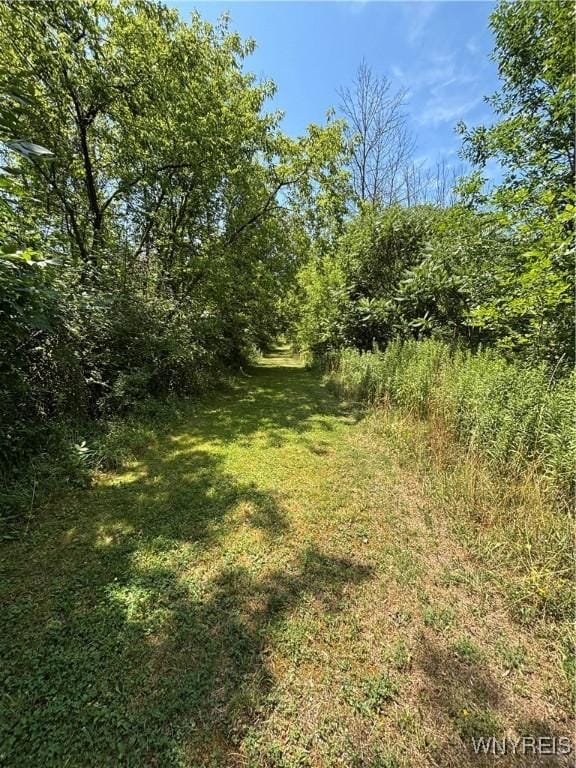 1038 Carmen Rd, Somerset, NY 14012 - photo 28
