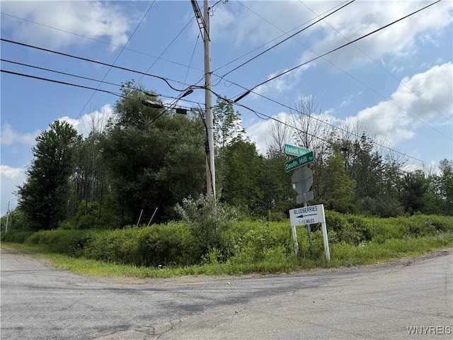 10103 S Hill Rd, Concord, NY 14141 - photo 1