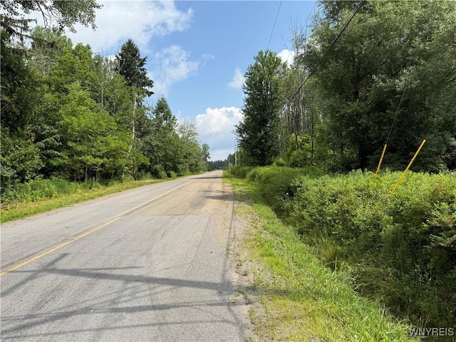 10103 S Hill Rd, Concord, NY 14141 - photo 2
