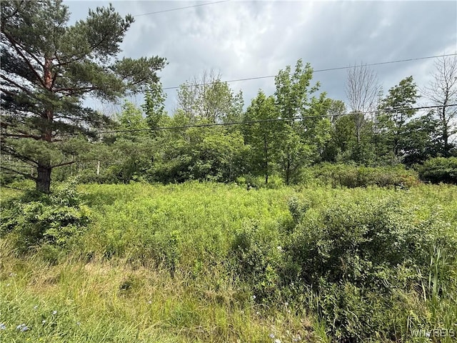 10103 S Hill Rd, Concord, NY 14141 - photo 3