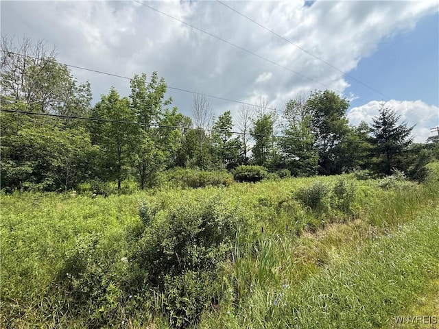 10103 S Hill Rd, Concord, NY 14141 - photo 4