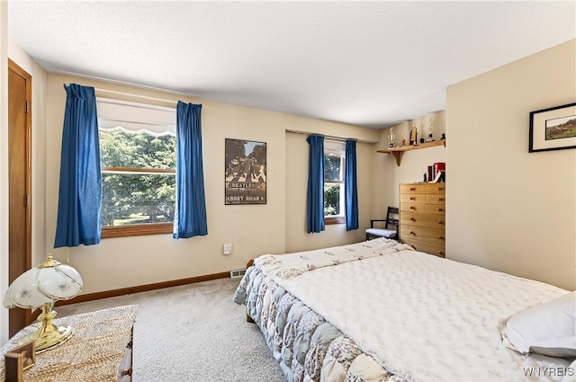 3 Carleton Ct, Amherst, NY 14221 - photo 25