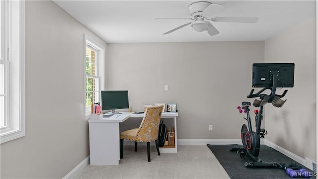 223 Surrey Run, Amherst, NY 14221 - photo 44