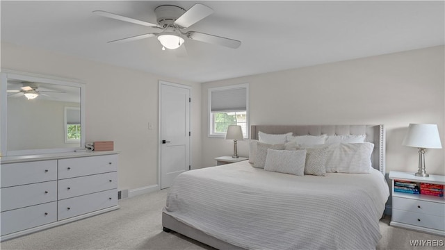 223 Surrey Run, Amherst, NY 14221 - photo 32