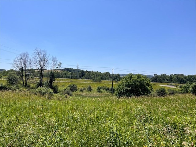 0 Yocum Rd, Wayland, NY 14572 - photo 4