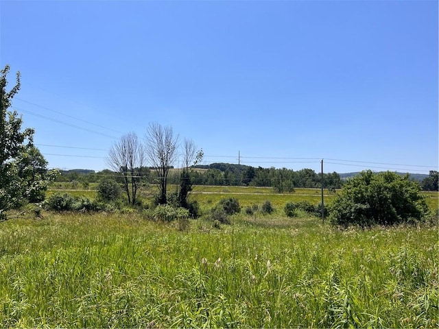 0 Yocum Rd, Wayland, NY 14572 - photo 5
