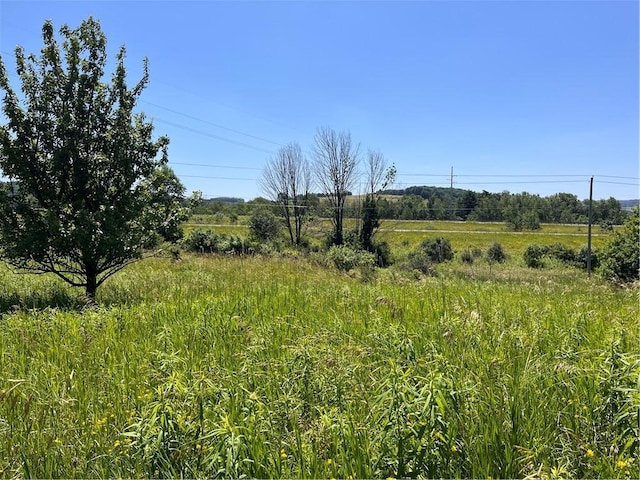 0 Yocum Rd, Wayland, NY 14572 - photo 6