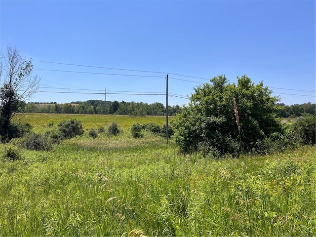 0 Yocum Rd, Wayland, NY 14572 - photo 7