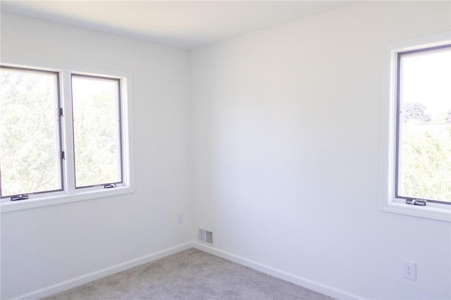 148 Blue Grass Ln, Greece, NY 14626 - photo 26