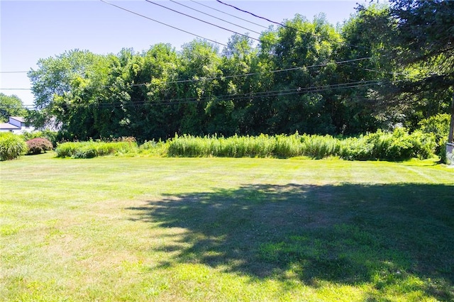 148 Blue Grass Ln, Greece, NY 14626 - photo 33