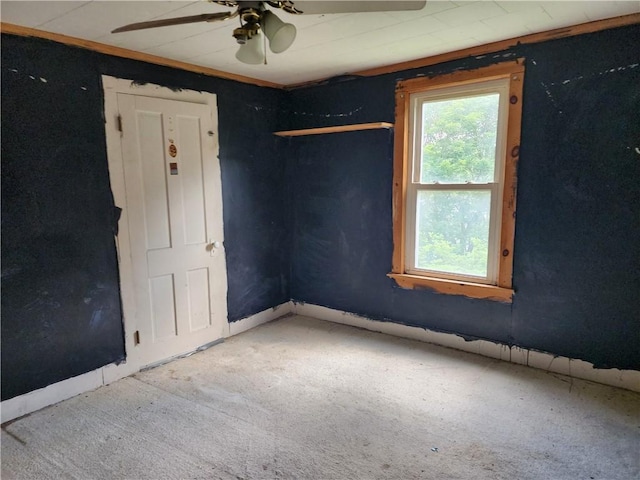9 Munn St, Walton, NY 13856 - photo 15
