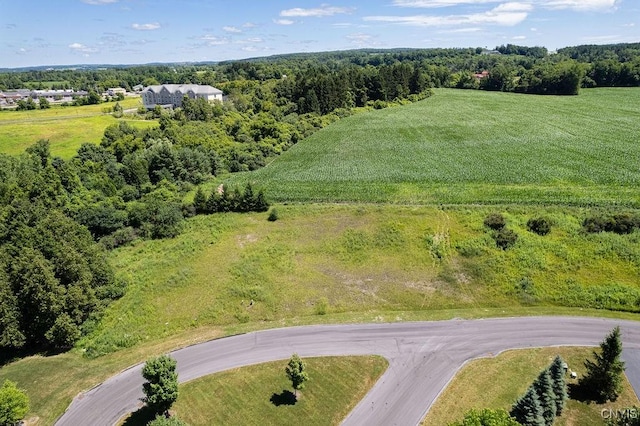 LOT24 Atwell Rdg, Cazenovia, NY 13035 - photo 1