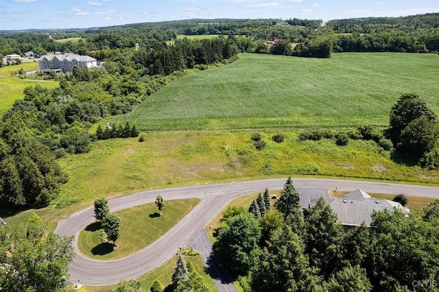 LOT24 Atwell Rdg, Cazenovia, NY 13035 - photo 2
