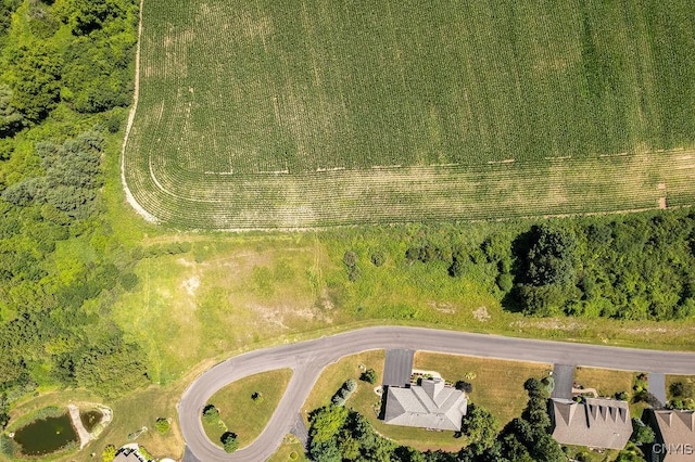 LOT24 Atwell Rdg, Cazenovia, NY 13035 - photo 15