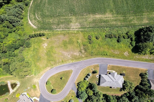 LOT22 Atwell Rdg, Cazenovia, NY 13035 - photo 4