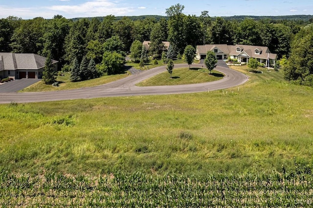 LOT22 Atwell Rdg, Cazenovia, NY 13035 - photo 10