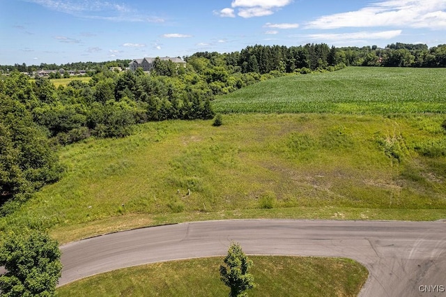 LOT22 Atwell Rdg, Cazenovia, NY 13035 - photo 11