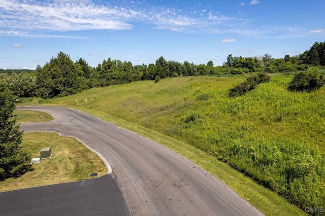 LOT22 Atwell Rdg, Cazenovia, NY 13035 - photo 14
