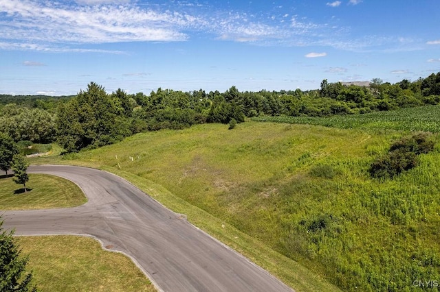 LOT22 Atwell Rdg, Cazenovia, NY 13035 - photo 15