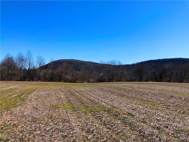 2752 State Route 8, Brookfield, NY 13491 - photo 49