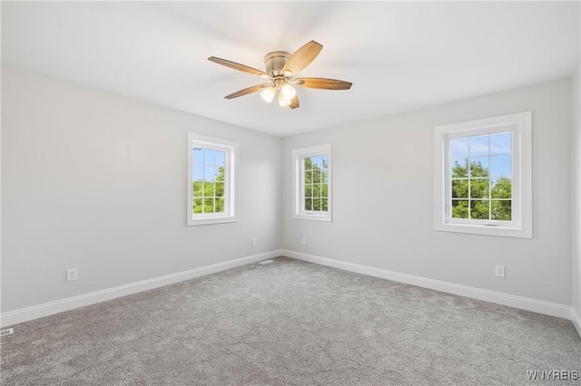 5951 Miller Rd, Lewiston, NY 14304 - photo 19