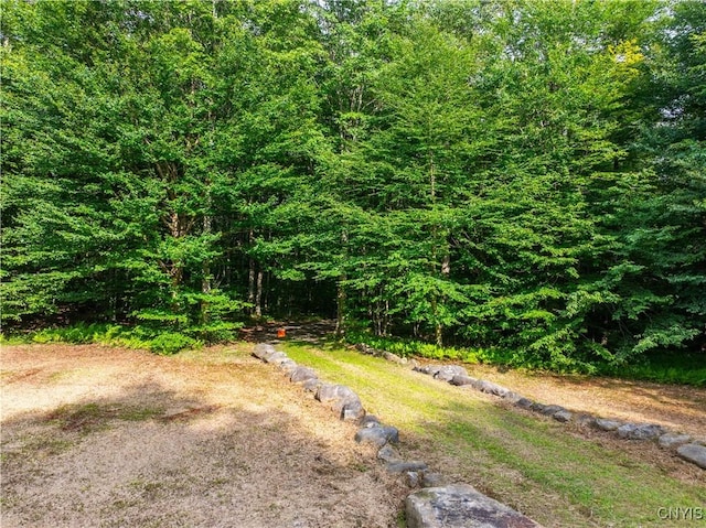 51 Donavan Rd, Salisbury, NY 13454 - photo 2