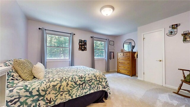 10861 Hidden Meadow Trl, Erwin, NY 14830 - photo 39