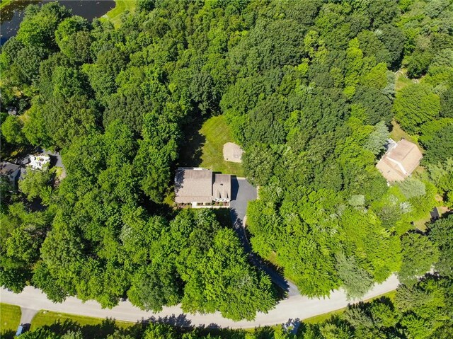 10861 Hidden Meadow Trl, Erwin, NY 14830 - photo 49