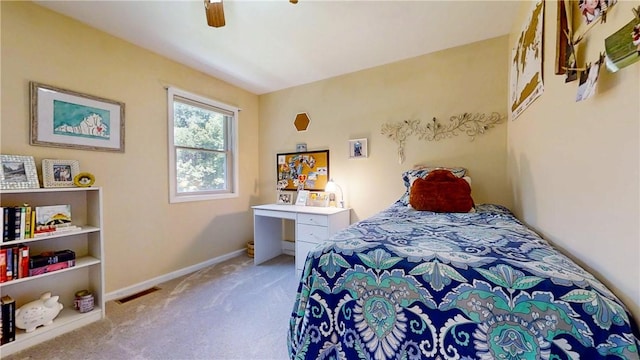 10861 Hidden Meadow Trl, Erwin, NY 14830 - photo 30