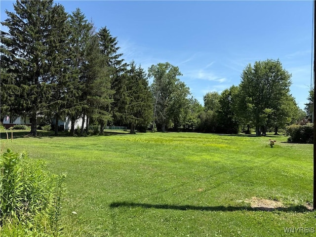 1325 New Rd, Amherst, NY 14228 - photo 2