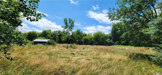5374 Ridge Rd, Lockport Town, NY 14094 - photo 6