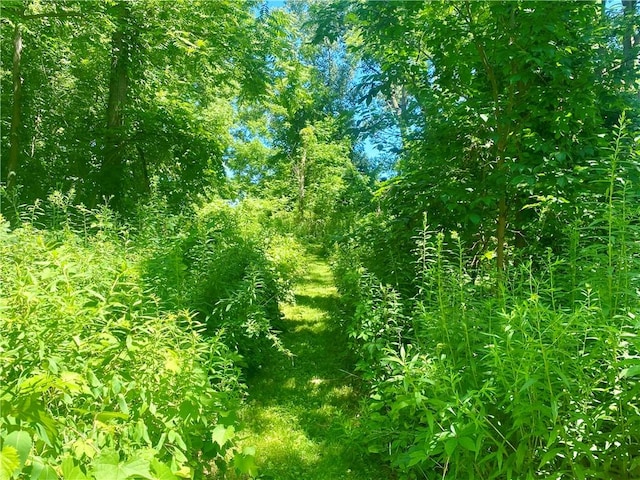 7615 Rte 237, Byron, NY 14422 - photo 27