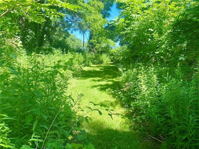 7615 Rte 237, Byron, NY 14422 - photo 28