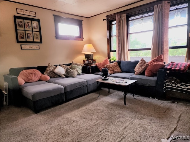 193 Woodside Ave, Buffalo, NY 14220 - photo 18