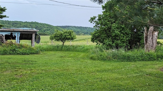 1406 County Highway 14, New Lisbon, NY 13810 - photo 6