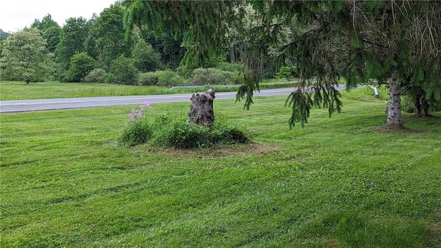 1406 County Highway 14, New Lisbon, NY 13810 - photo 10