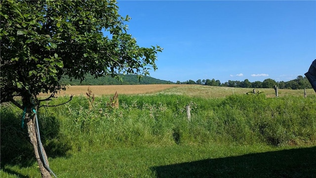 1406 County Highway 14, New Lisbon, NY 13810 - photo 12