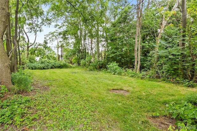 217 E Utica St Unit S, Buffalo, NY 14208 - photo 20
