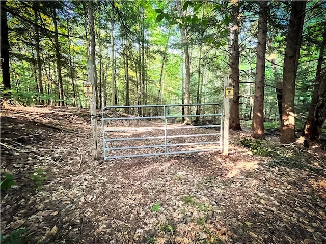 Switts Dr, Hastings, NY 13076 - photo 2