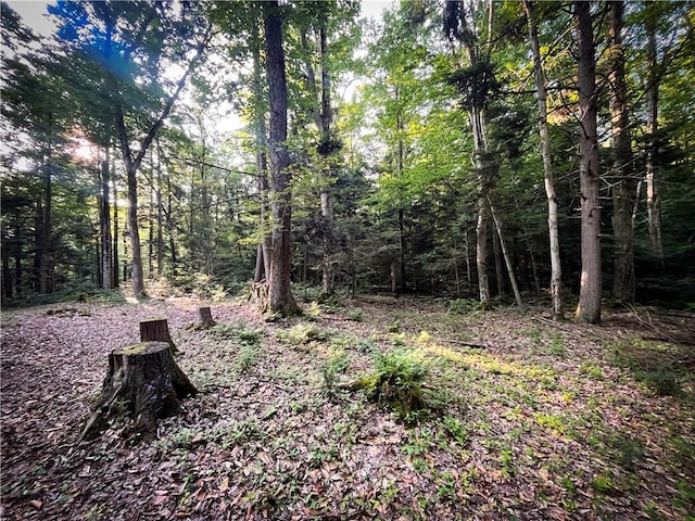 Switts Dr, Hastings, NY 13076 - photo 27