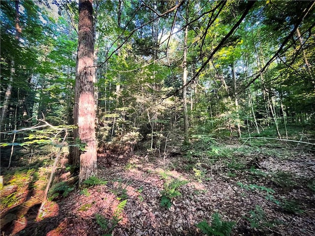 Switts Dr, Hastings, NY 13076 - photo 29