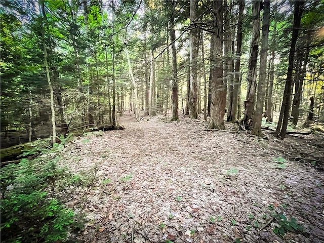 Switts Dr, Hastings, NY 13076 - photo 35