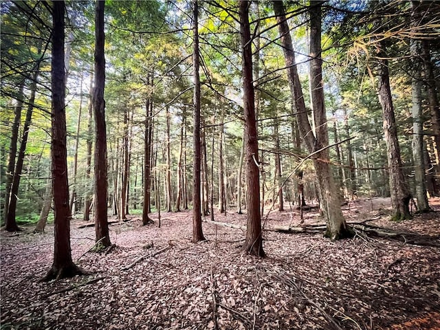 Switts Dr, Hastings, NY 13076 - photo 41