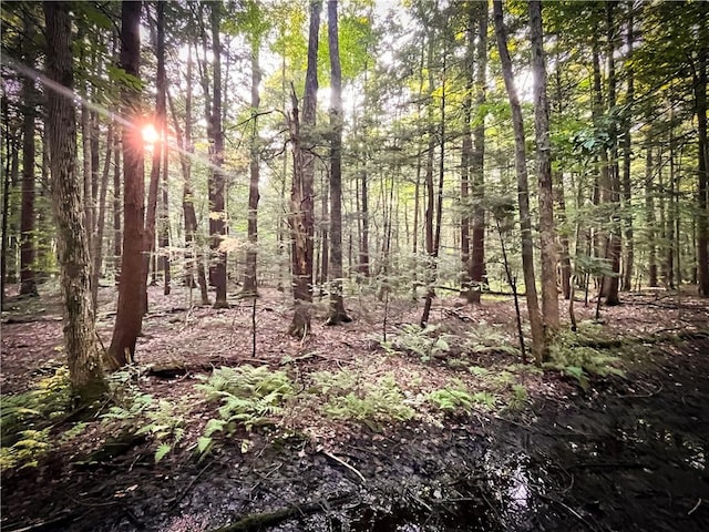 Switts Dr, Hastings, NY 13076 - photo 42