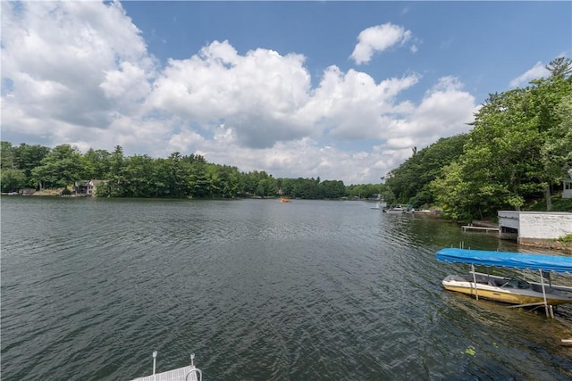 64 E Lake Rd, Wayland, NY 14826 - photo 35