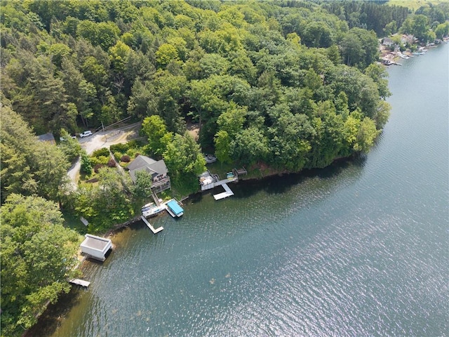 64 E Lake Rd, Wayland, NY 14826 - photo 40
