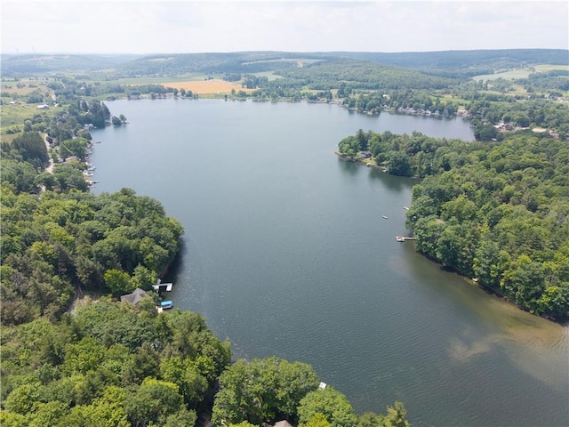 64 E Lake Rd, Wayland, NY 14826 - photo 41