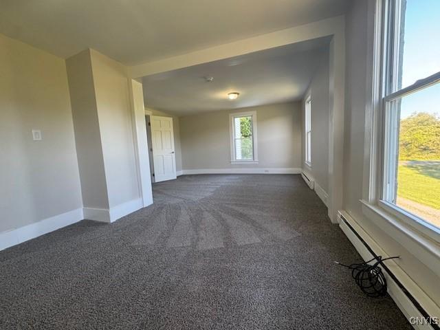 328 Salt Rd, Groton, NY 13073 - photo 16