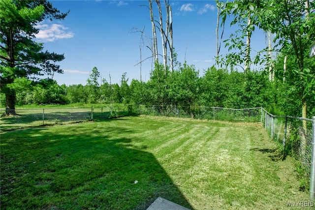 2150 Derby Rd, Eden, NY 14057 - photo 39