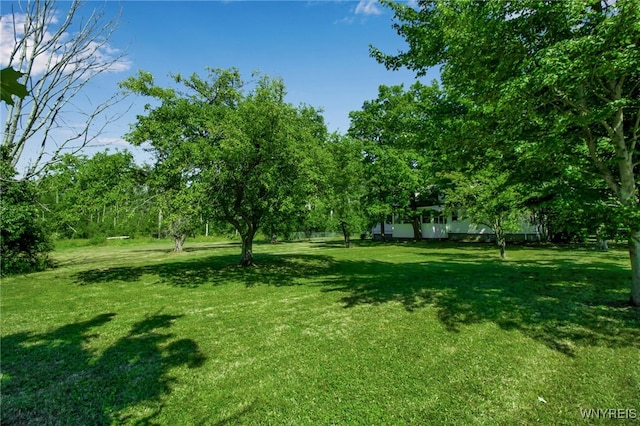 2150 Derby Rd, Eden, NY 14057 - photo 43